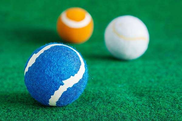 tennis tennis